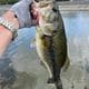 Fishon645