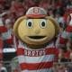 BuckeyeBo7