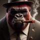 RedGorilla24