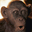 Monkilla