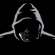 Black_Shanahan