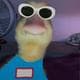 Adrianzep03