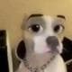 Marshbon