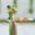 TheGecko