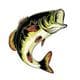 bass70