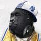Monkey91
