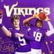 D1VikingzFan