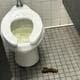 simontoilet