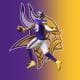 HutHutVikes