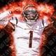 AverageJoeMixon