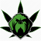 KommissionerKush