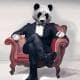 SophisticatedPanda