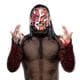 jeffhardyfan