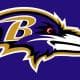 beagles21