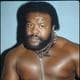 JunkYardDog6996
