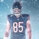 Sadbearsfan2023