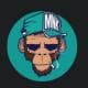 nillagorilla13