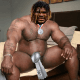 LamarisElite