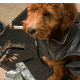 wally420