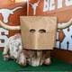 sadlonghornsfan