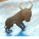 Goat03