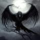 RavenHunter