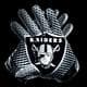 SilverNBlack520