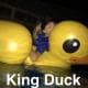 MrDuckk