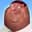 drbob69