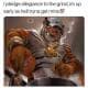 AnimalCommish