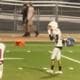1flyzone