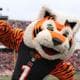 GObengals9191