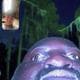 LukeJohnson8022