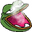 cloake