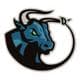 CNGBulls