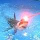 Dolphinately4Sharks