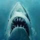 SHARKS625