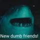 NewDumbFriends