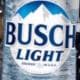 BuschLights