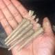 Saucyybandz