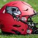 redbirds27