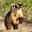 moneybadger24