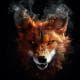 SlyFoxx