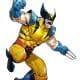 xxxTHEWOLVERINExxx