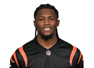 Tee Higgins Image