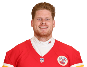 Matt Bushman Image